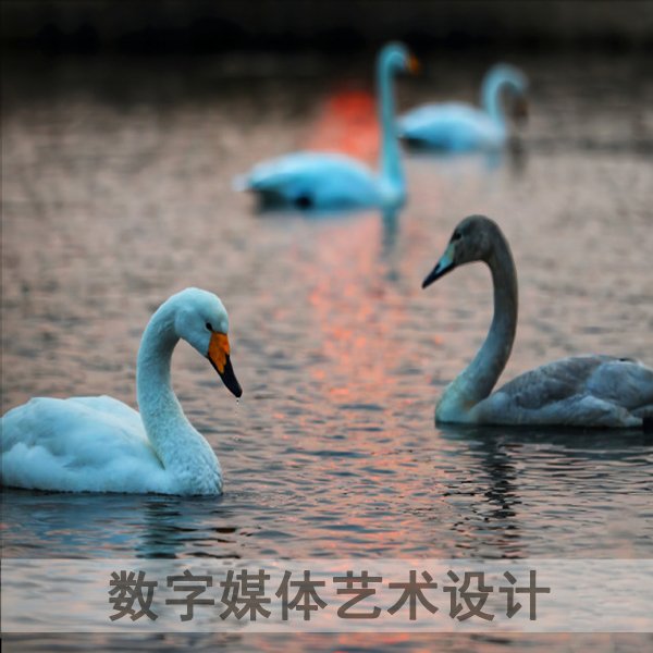 移动端与电脑端入口保持一致