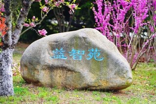 如某条暂不可用