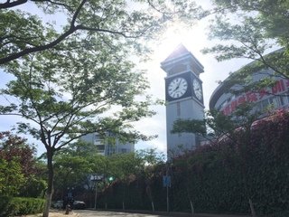 皇家体育登录官网与多特蒙德续约官方合