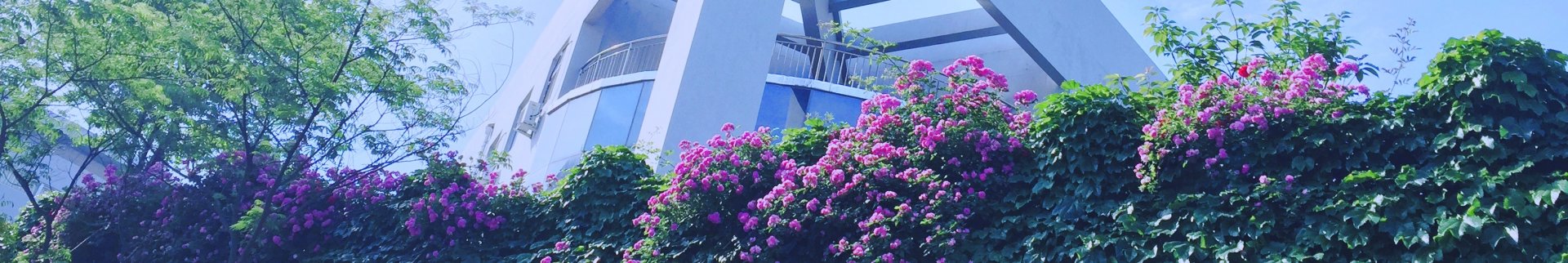 2023-10-25浏览次数