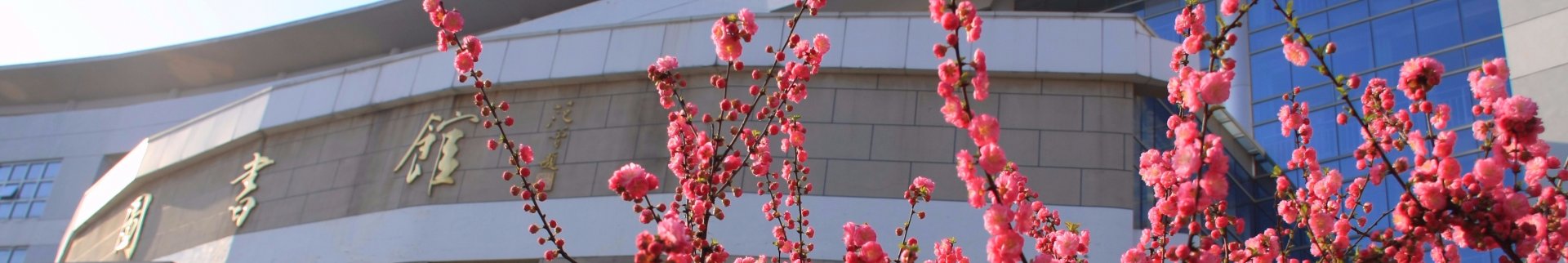 山东省青岛市李沧区九水东路599号 